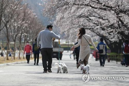 散策するソウル市民（資料写真）＝（聯合ニュース）
