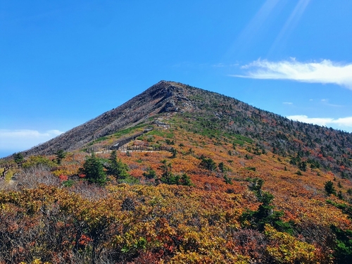韓国・雪岳山に紅葉シーズン到来　見頃は来月下旬
