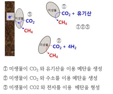 발전소 배출 Co₂를 메탄가스로…한전, 연료화 기술개발 착수 | 연합뉴스