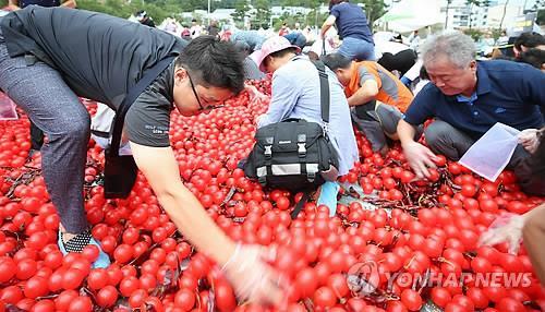 괴산 고추축제·음성 품바축제 문체부 유망축제 뽑혀 | 연합뉴스