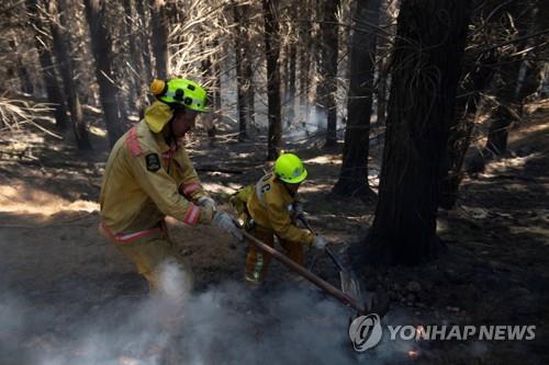 뉴질랜드 산불 진화