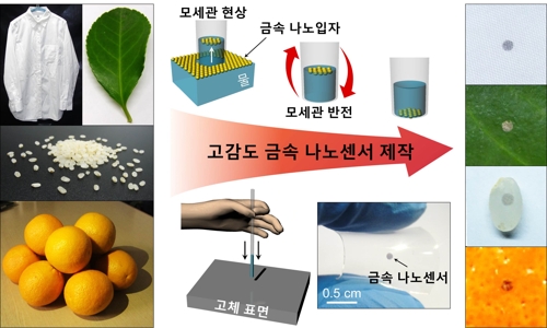 마약 간편 검출 '나노 센서' 개발…모세관 활용