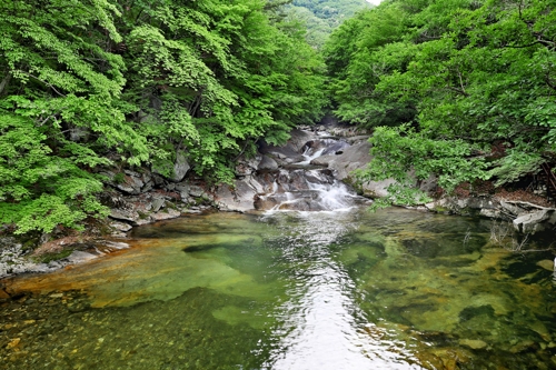 선녀들이 놀았다는 비파담 [사진/전수영 기자]