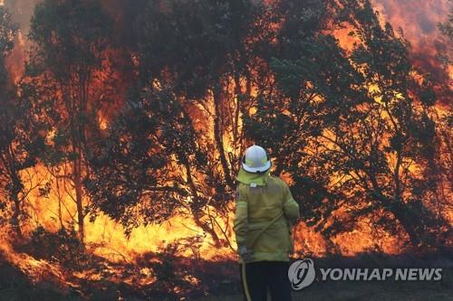 호주 뉴사우스웨일스주에서 발행한 대형 산불 현장.