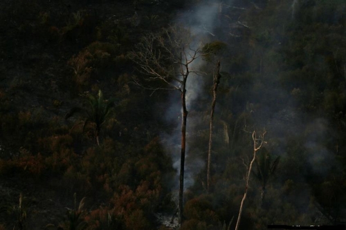 아마존 열대우림 산불