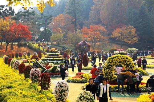 청남대 국화축제