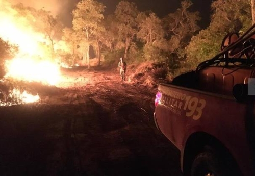 세계 최대 열대 늪지 판타나우에서 발생한 산불