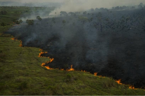 세계 최대 열대 늪지 판타나우에서 일어난 산불