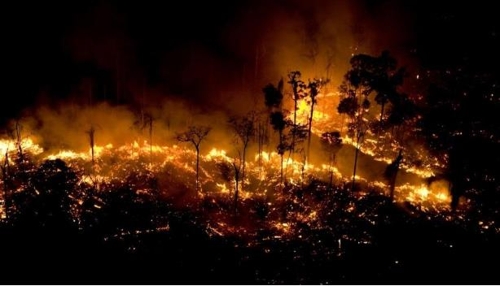 브라질 북부 파라 주의 아마존 열대우림에서 발생한 산불 [국제환경단체 그린피스]