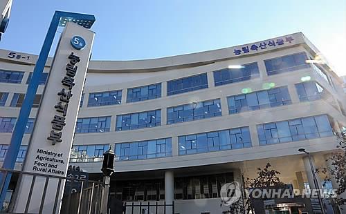 [연합뉴스 자료사진]