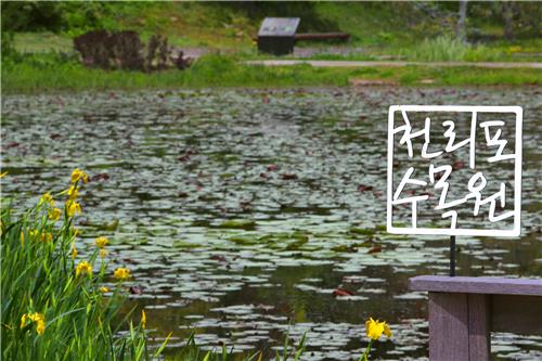 천리포수목원 중앙에 조성된 큰 연못. 여름에는 수련이 가득 피어 장관을 선사한다. [사진/전수영 기자]