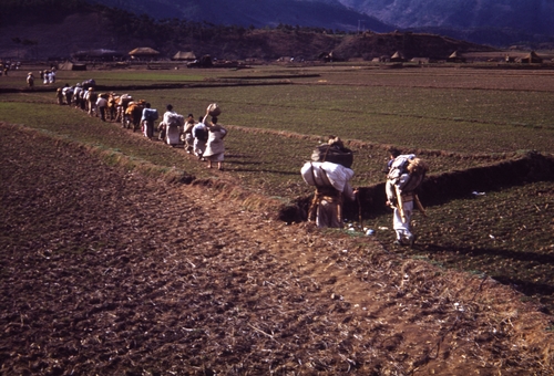 1951년 2월께 경북 북부지방 한 논밭을 지나는 피란민 가족