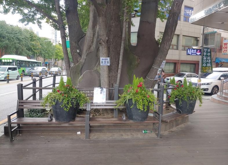 시흥5동 은행나무사거리 벤치에 설치된 재활용 꽃화분