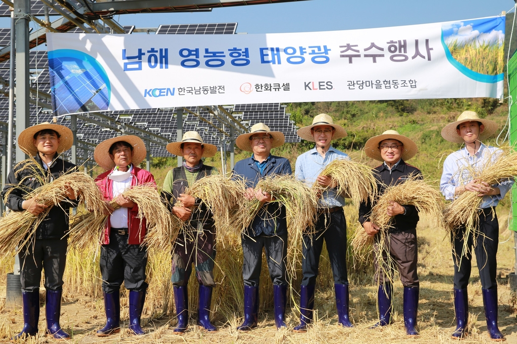 남해 관당마을 영농형 태양광 추수행사