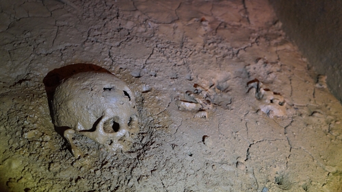 도굴 안된 부여 백제고분서 두개골 2구·금동귀걸이 발견