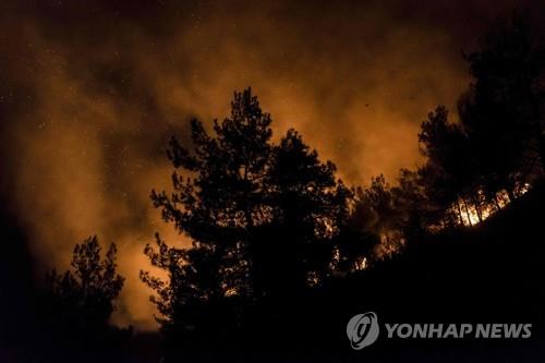 지중해 국가 키프로스에서 발생한 산불[AFP=연합뉴스]