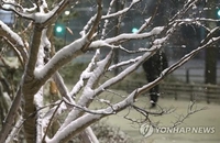 대전·세종·충남에 비나 눈…밤부터 기온 '뚝'