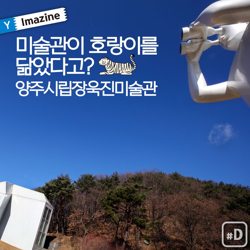 [Y imazine] 미술관이 호랑이를 닮았다고?