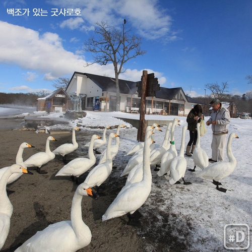 [Y imazine] 설국(雪國) 일본을 가다 - 6