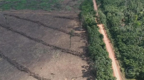 작년에 파괴된 아마존 열대우림 서울 면적 17배 넘어