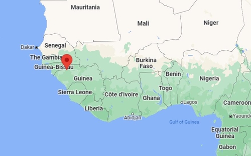 서아프리카 기니 영세 금광 붕괴로 최소 18명 사망