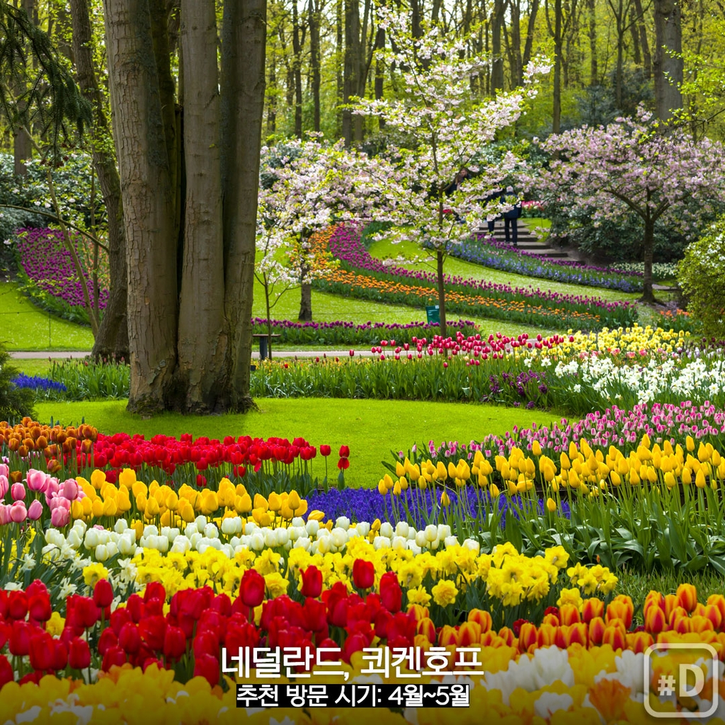 [여행honey] 꽃으로 힐링을…세계 유명 정원 세 곳 - 5