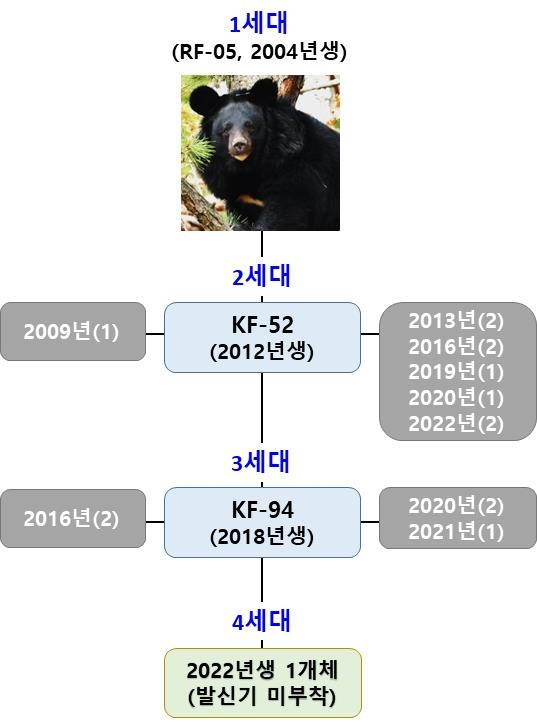 지리산 반달가슴곰 가계도. [환경부 제공. 재판매 및 DB 금지]