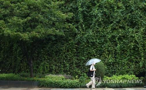 [연합뉴스 자료사진]