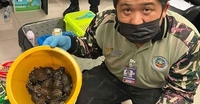 캐리어에 야생동물 109마리 '우글'…인도 여성 방콕공항서 체포