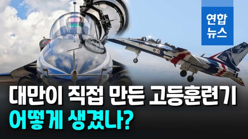 [영상] 차이잉원이 이름 지은 '브레이브 이글' 비행훈련 첫 공개 - 2