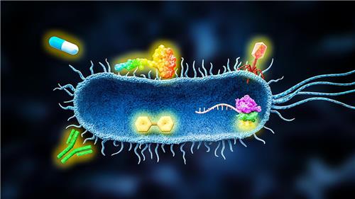 화순전남대병원 '박테리아 매개 암치료 분자영상 접근법' 발표