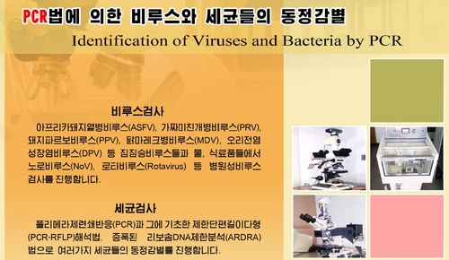 코로나 종식 선언한 북한…PCR 검사는 어떻게 했을까