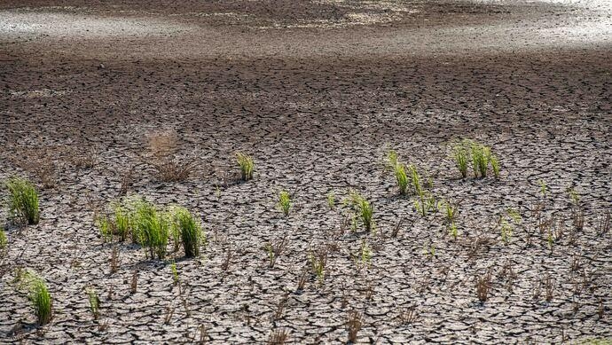 가뭄으로 바닥 갈라진 후난성 농경지