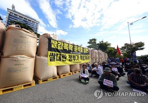 "쌀값 폭락, 정부가 책임져라" 전북 농민들 나락 투쟁