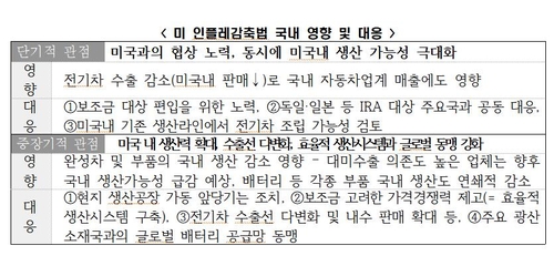 미국 IRA의 국내 영향 및 대응 