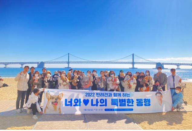 반려견과 함께한 부산 관광