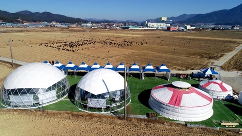 몽골 독수리 월동 선발대 50여 마리, 경남 고성 도착