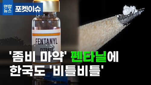 [포켓이슈] '좀비 마약' 펜타닐에 한국도 '비틀비틀' - 2
