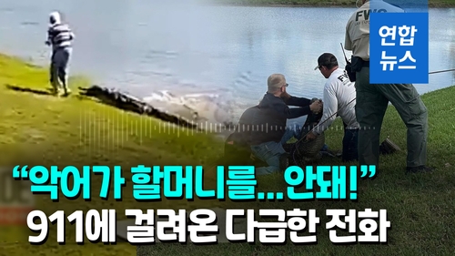[영상] "할머니 물고 연못으로"…개 산책시키던 80대, 3m 악어에 희생 - 2