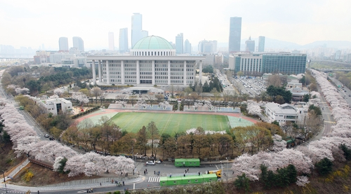 국회의사당을 둘러싼 서울 여의도 윤중로에 벚꽃이 만개했다. 2015년 [연합뉴스 자료사진]
