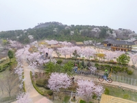 [여행honey] '연인들의 성지' 김해와 진해