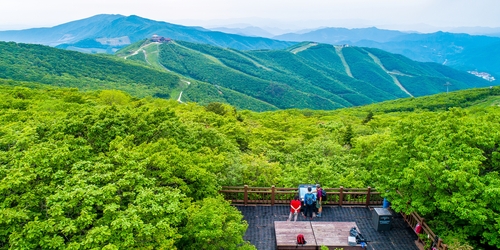 운탄고도 1330