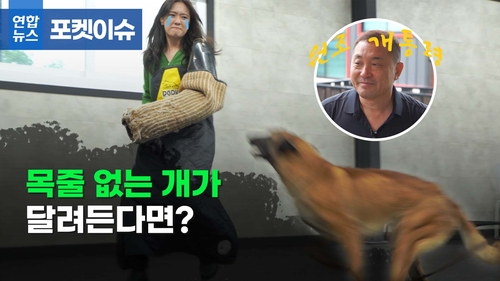 [포켓이슈] "우리 개는 안 물어요"…반복되는 개 물림 사고