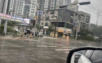 당진서 '나체 활보' 신고…경찰, 신원 추적 중