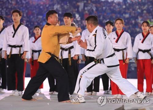 남북 태권도 시범단