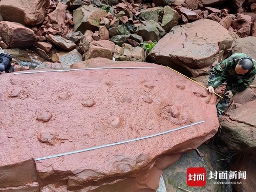 中 10살 어린이, 강가서 놀다 공룡 발자국 화석 발견