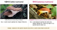 "가을 독버섯 주의하세요"…식용 버섯은 22.7%뿐