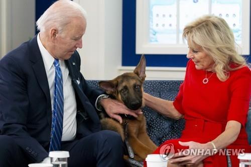 반려견도 안 도와주네…바이든 퍼스트독 또 경호원 물어