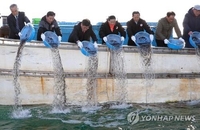 강원도 '겨울철 별미 수산물' 뚝지 종자 75만마리 방류