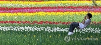 대구·경북 대체로 맑음…낮 기온 20∼29도